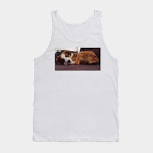 Charly Australian Shepherd Mix Tank Top